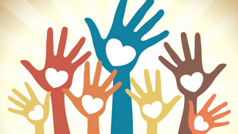 Види волонтерської діяльності